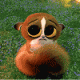  steamnoob