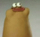   sasa69