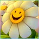   evgeniy16
