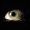 ������ ��� RaynoR