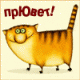 ������ ��� dsad