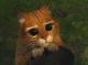 ������ ��� Mapezda