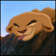 ������ ��� simbo