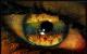 ������ ��� NVisionX