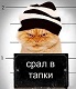 ������ ��� naxim