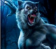 ������ ��� wendigo2012