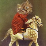 ������ ��� Static