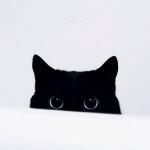 ������ ��� Usernewt