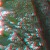 ������ ��� ³���� H61