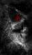 ������ ��� evilhamer