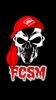������ ��� FanaT1k_FCSM