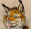 ������ ��� ChechireCat